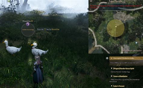 forest path wagon bdo|bdo merindora location.